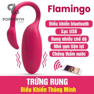Trứng Rung Điều Khiển Bằng Điện Thoại